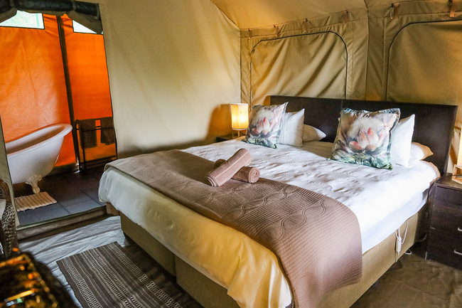 The Sugarbird Tent
