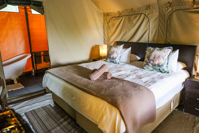 The Sugarbird Tent