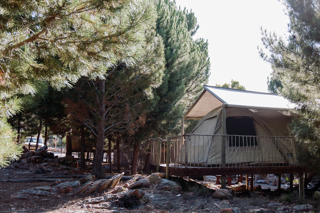 The Springbok Tent
