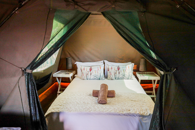 The Springbok Tent