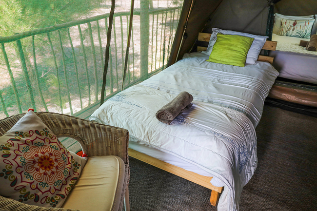 The Springbok Tent