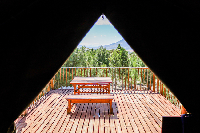 The Springbok Tent
