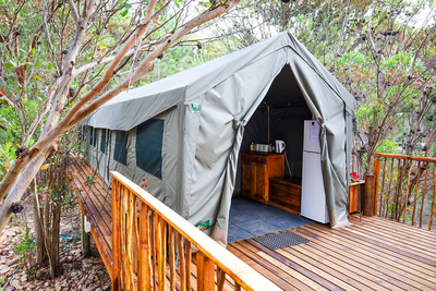 The Eagle Owl Tent