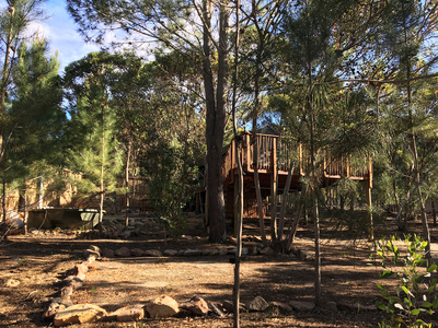 The Eagle Owl Tent