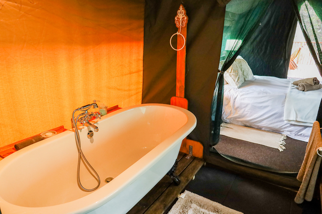 The Eagle Owl Tent