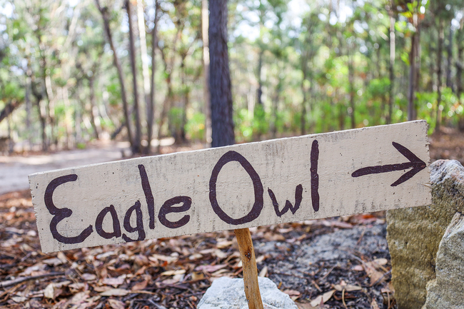 The Eagle Owl Tent