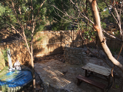 The Eagle Owl Tent