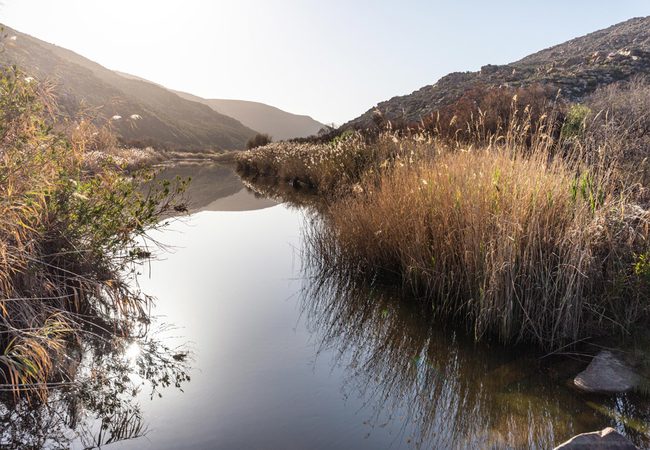 Morning River