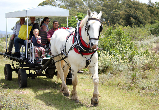 Outeniqua Moon Guest Farm