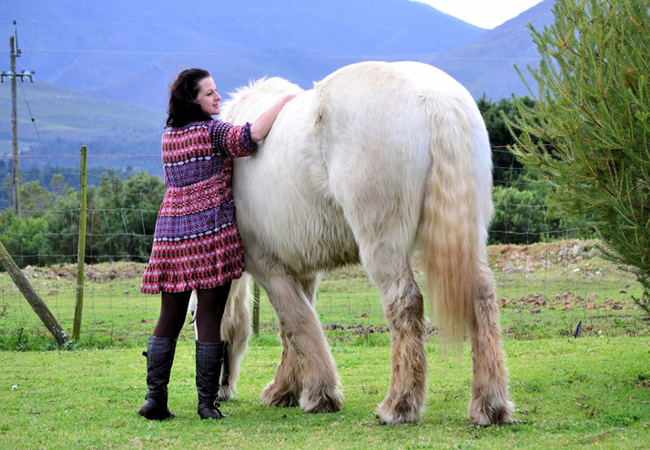 Outeniqua Moon Guest Farm