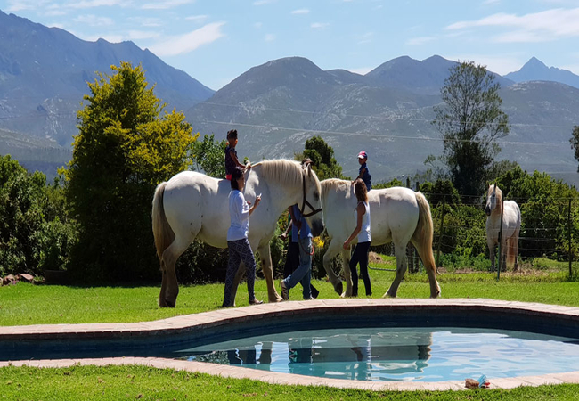 Outeniqua Moon Guest Farm