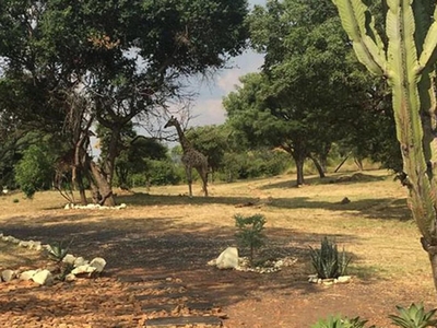 Out of Africa Lodge