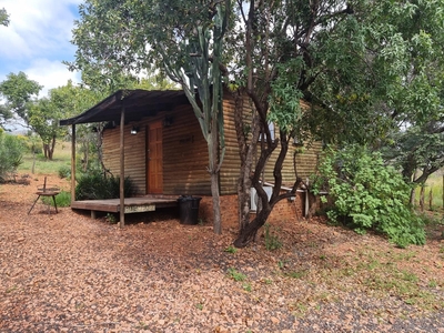 Standard Cabin - Bushbaby