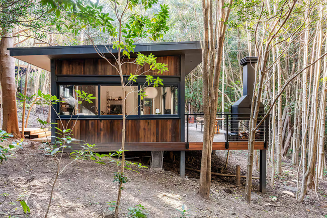 Cape Saffron Forest Retreat