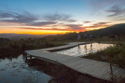 Oxalis Chalet Stanford