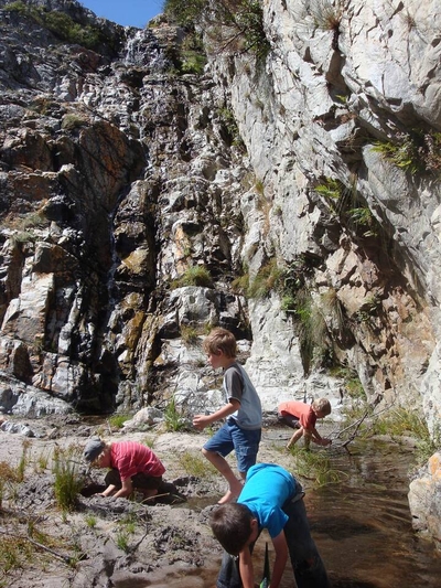 Oxalis Chalet Stanford