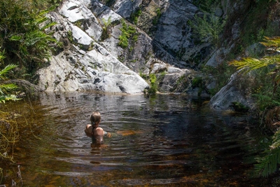 Oxalis Chalet Stanford