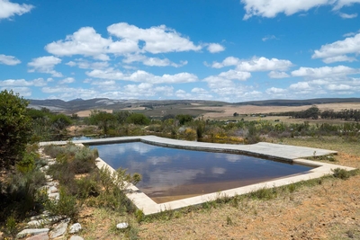 Oxalis Chalet Stanford