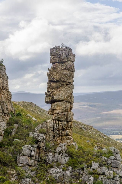 Oxalis Chalet Stanford