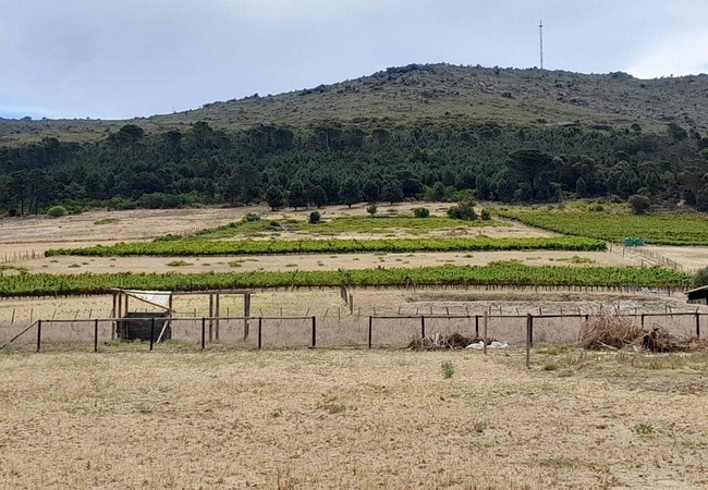 Paarl Self-catering @ Gim