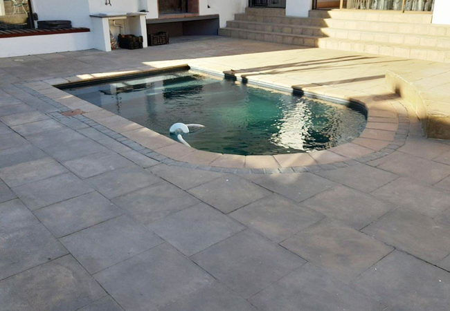 Paarl Self-catering @ Gim