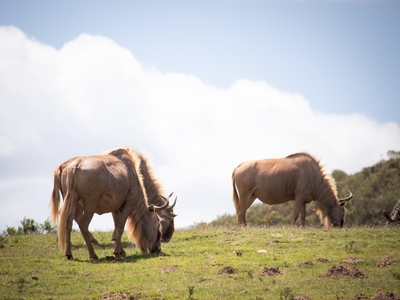 Pabala Private Nature Reserve