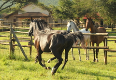 Pakamisa Private Game Reserve