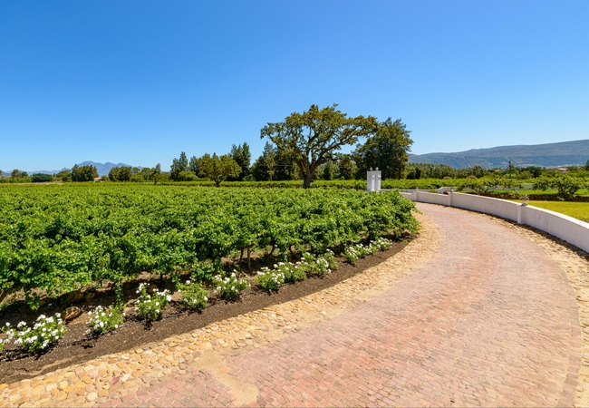 Adara Palmiet Valley Farm Hotel