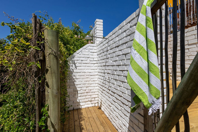 Pansy Shell Cottage