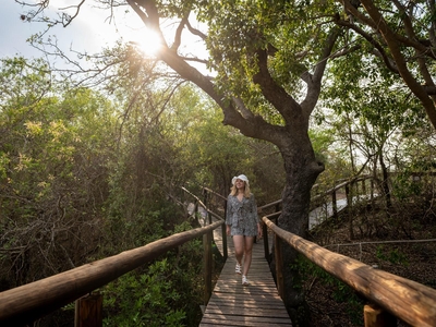 Panzi Lodge