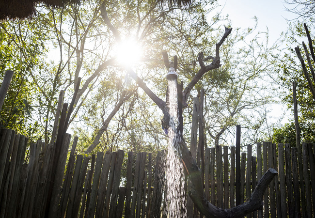 Twin and Queen Chalet