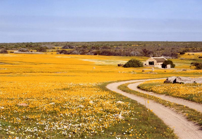 Papkuilsfontein Guest Farm