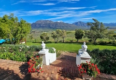 Paradise in the Winelands