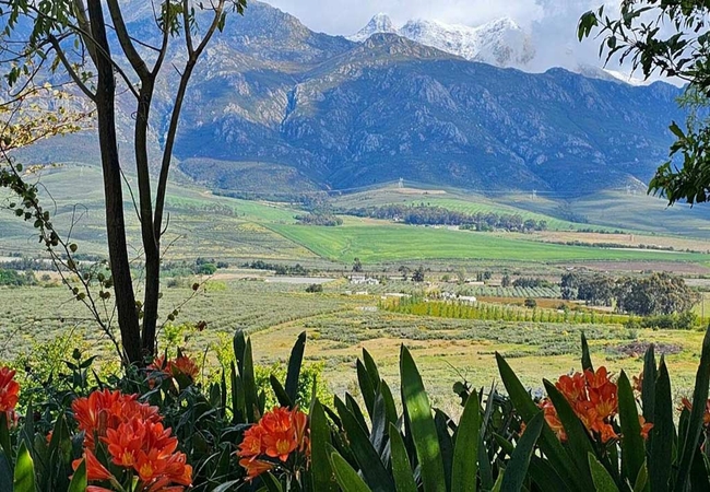 Paradise in the Winelands