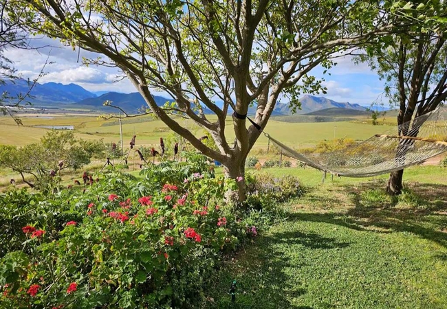 Paradise in the Winelands