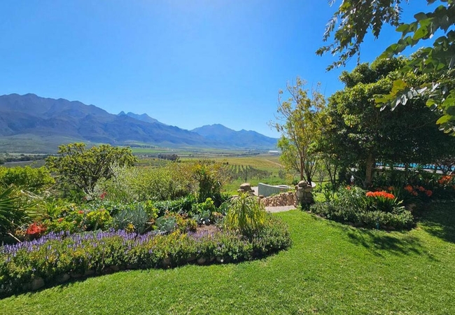 Paradise in the Winelands