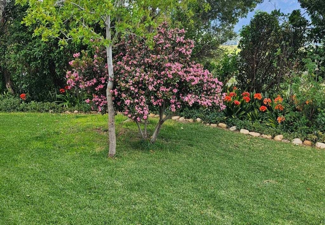 Paradise in the Winelands