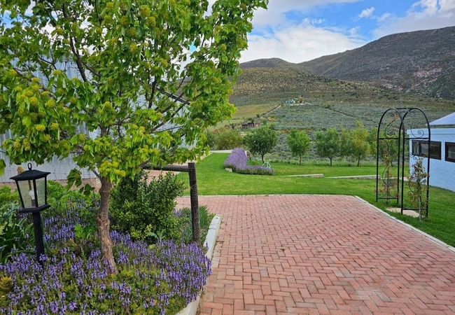 Paradise in the Winelands