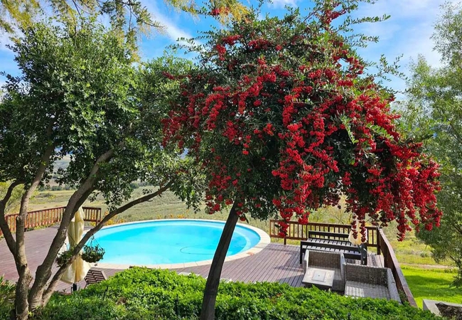 Paradise in the Winelands