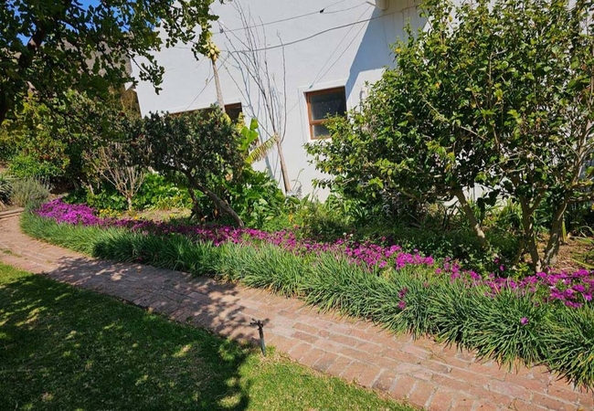 Paradise in the Winelands