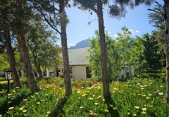 Paradise in the Winelands