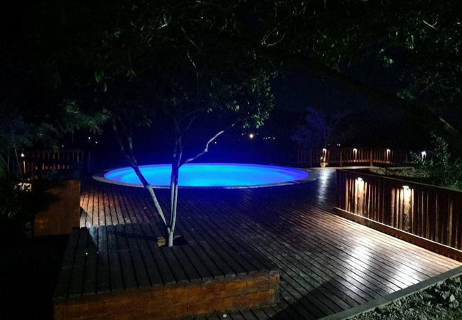 Paradise in the Winelands