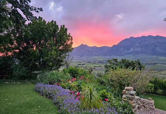 Paradise in the Winelands