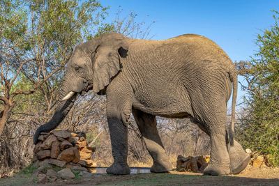 Paradise Safari Lodge