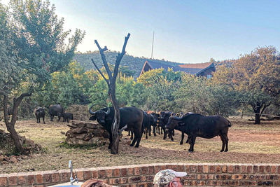 Paradise Safari Lodge