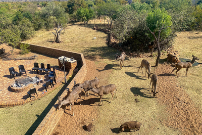 Paradise Safari Lodge