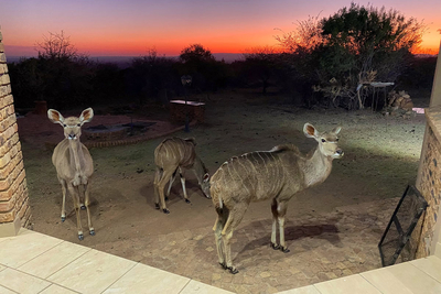 Paradise Safari Lodge