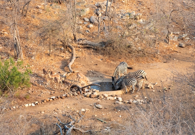 Parsons Hilltop Safari Camp