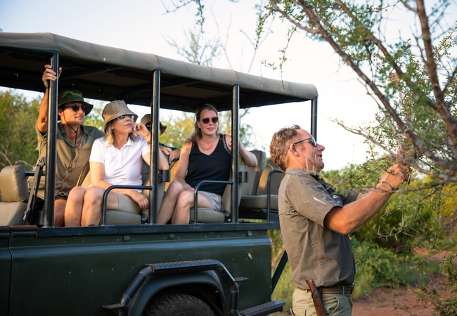 Parsons Hilltop Safari Camp