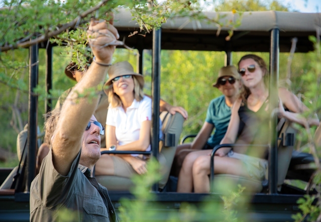 Parsons Hilltop Safari Camp